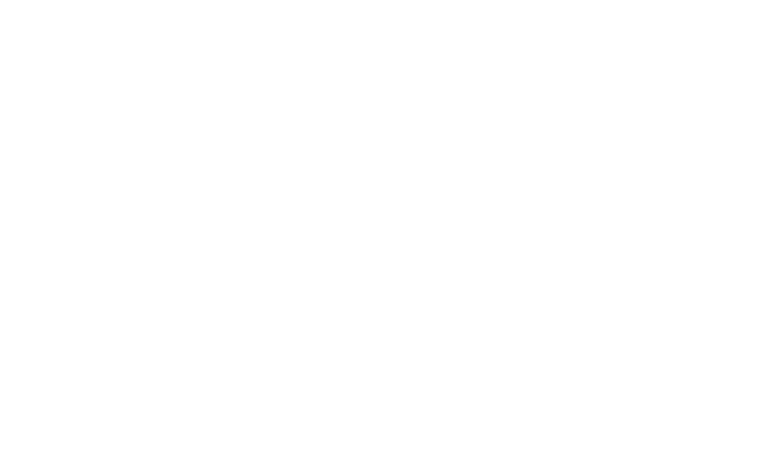 WMC Capital